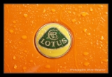 Lotus Exige-1